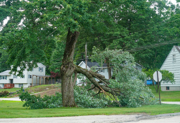 Best Residential Tree Removal  in Emerald Lakes, PA