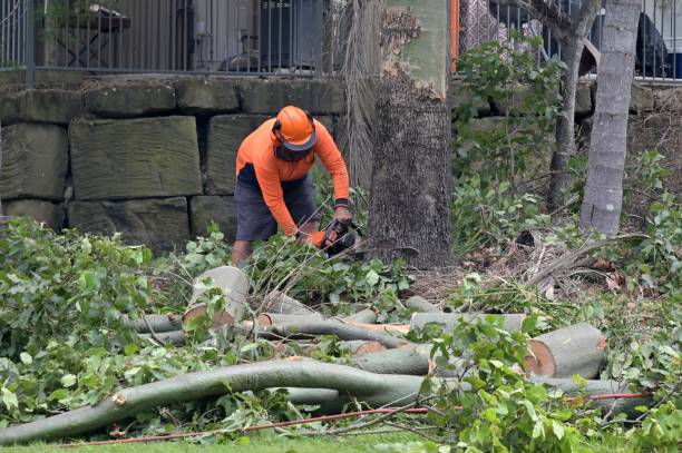 Best Stump Grinding and Removal  in Emerald Lakes, PA